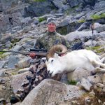 Dall Sheep Guide