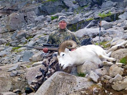 Dall Sheep Guide