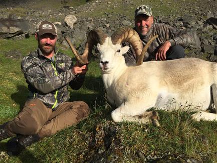 Dall Sheep Hunts