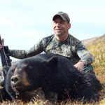 Black Bear