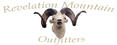 Revelation Mountain Outfitters logo